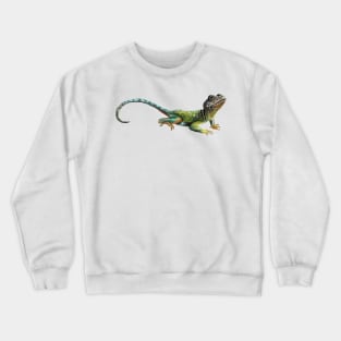 Eastern Collared Lizard Crewneck Sweatshirt